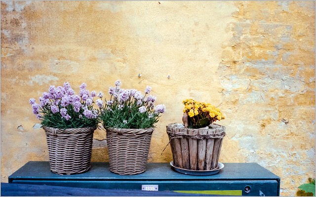 #0048 - Vision3 250D - Calbe C41 - 2025-11-25-0024-positive-20251125