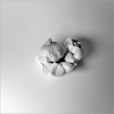 #0051 - Kentmere Pan 100 - XT-3 - 120 - Stock - 2025-11-25-0009-20251130