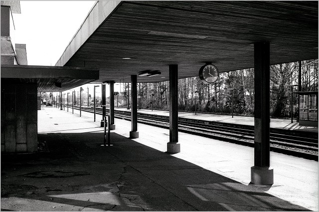 2025-04-06-0057-positive-006-20250406