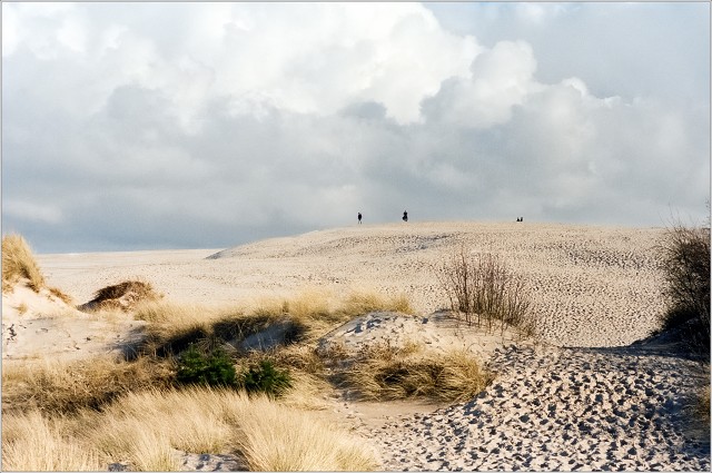 2025-05-11-0009-positive-001-20250511