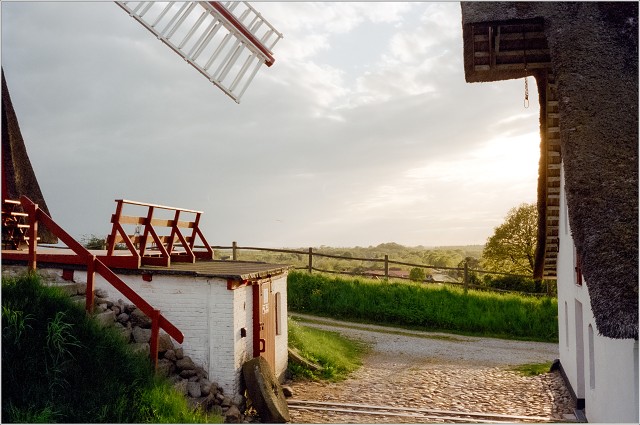 2025-05-11-0036-positive-002-20250511