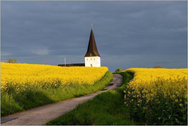 L1000487-002-20250504