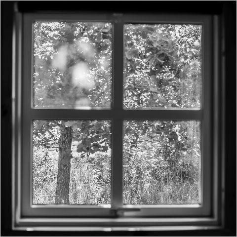 L1000576-002-20250613