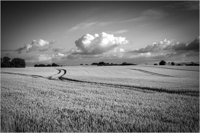 L1000612-002-20250710