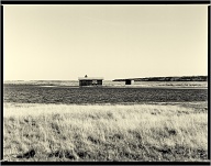 Bronica ETRSi | Bronica  | Kentmere Pan 100 100

Digitized with Nikon D810/Nikon 60mm Mikro | Cinestill CS-Lite | Valoi 360

Home developed in XT-3 Stock | 7:40/20.50 | Agitation