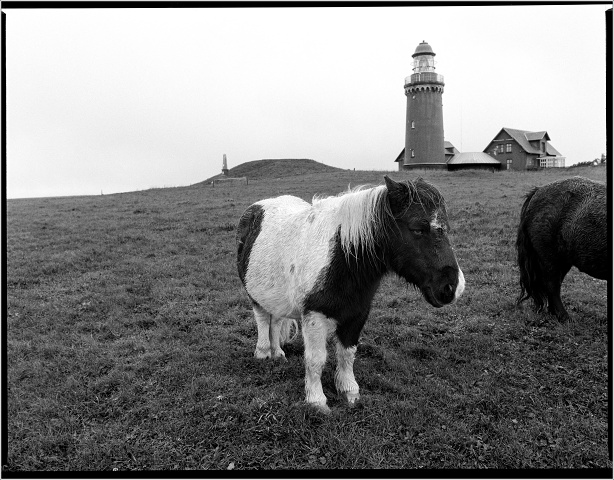  8106911-positive-007-20251026