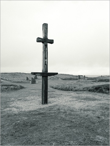  8106942-positive-004-20251108