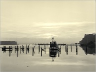 Bronica ETRSi | Bronica  | Kentmere Pan 400 400

Digitized with Nikon D810/Sigma 105mm Macro | Cinestill CS-Lite | Valoi 360

Home developed in XT-3 Stock | 9:00/20C | Agitation