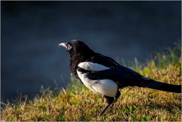  8102012-002-20220809