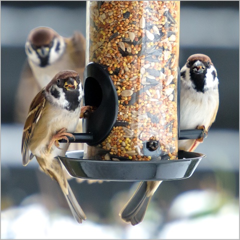  8102580-001-20221214