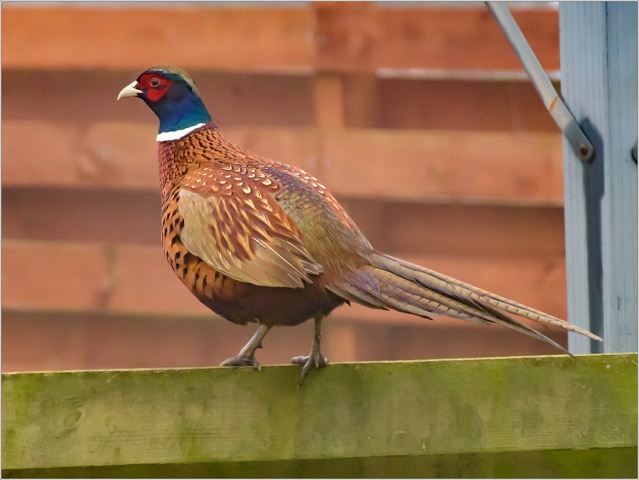  8103123-003-20230215