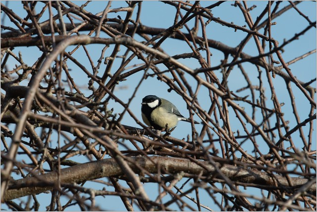  8103164-003-20230221