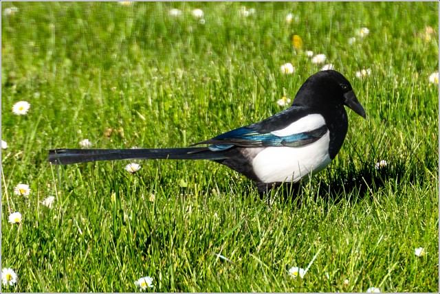  8103690-Enhanced-NR-004-20230421