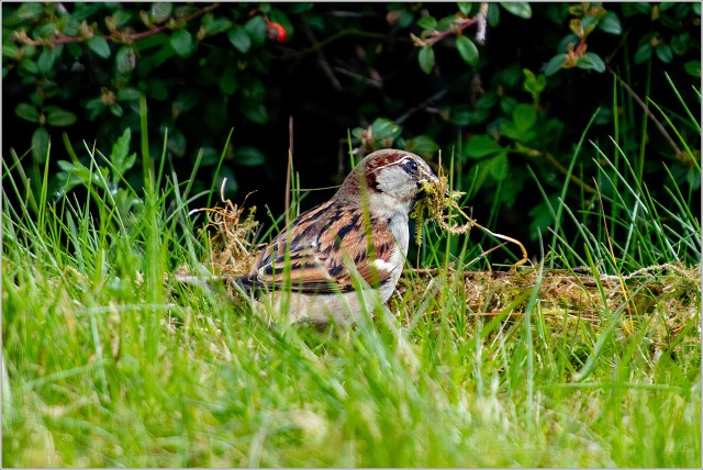  8103760-005-20230423