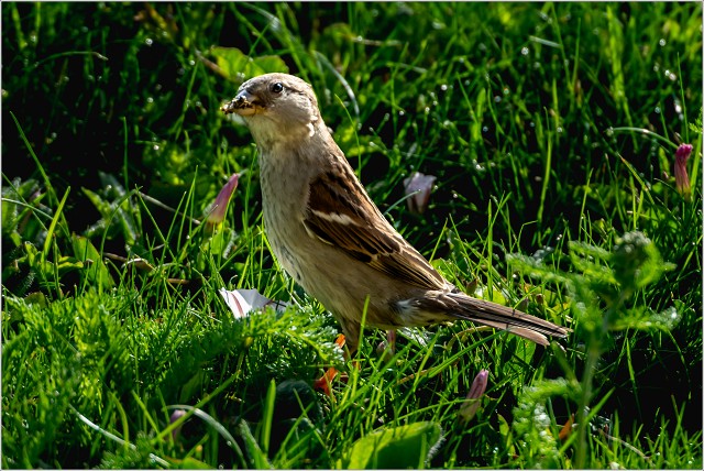  8104561-004-20230707