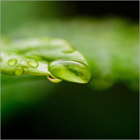 810 4312-008-20180722