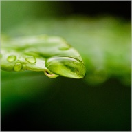 H2O is what most life on earth require after Oxygen to survive.