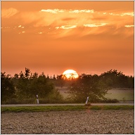 Just a wonderful sunset.
.
.