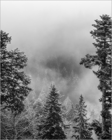 810 5742-Edit-12-018-20181225