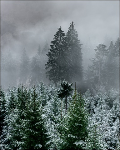 810 5743-019-20181225