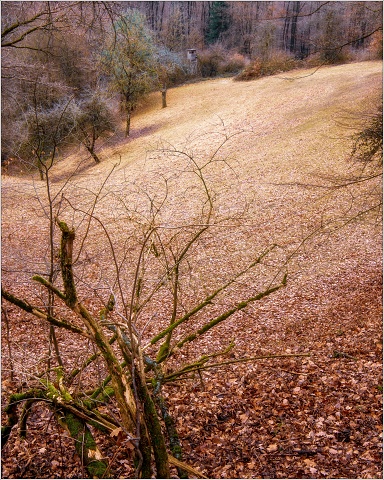 810 5785-Edit-18-020-20181230