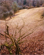 Last post of 2018. This was actually not the photo I was trying to get, but it turned out to be the best from a fairly long hike up a conyon. 
.
.