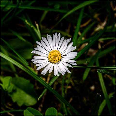 810 7554-029-20190609