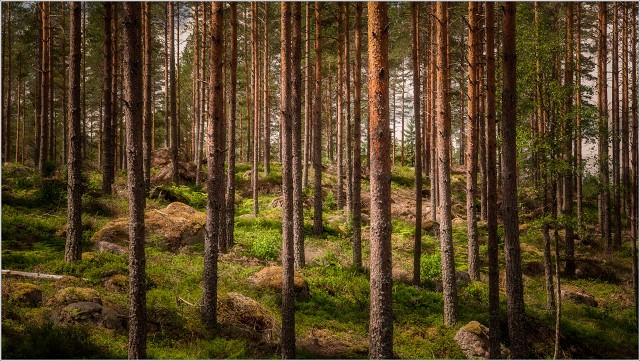 810 7958-Edit-170-032-20190701