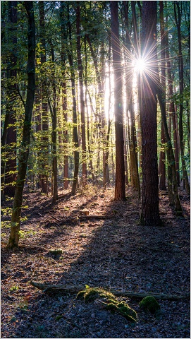 810 8272-HDR-033-20190915