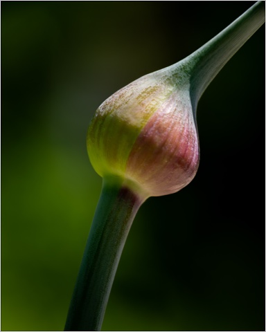  8100301-055-20210613