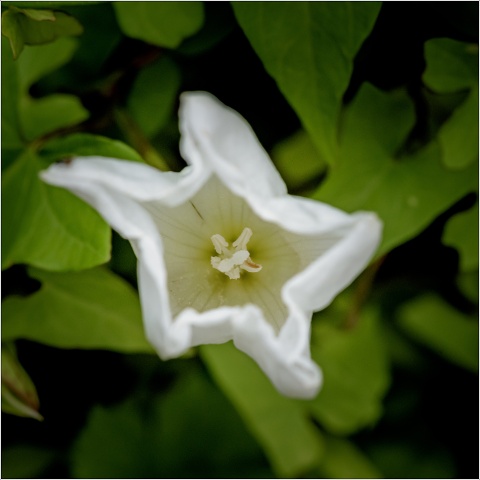  8100331-056-20210714