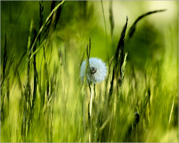  8101180-080-20220522