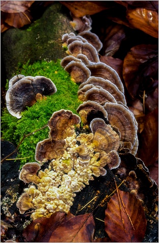  8109011-Edit-040-20191201