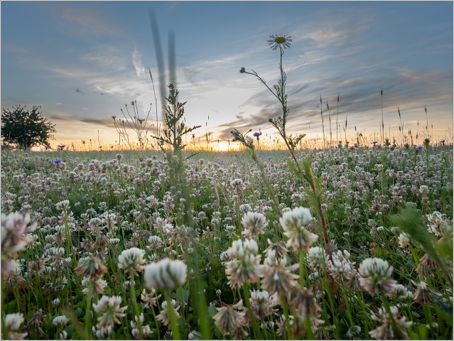  XT31630-002-20200531