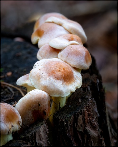  XT34778-Edit-052-20201007