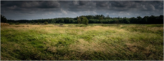  XT35336-058-20210809