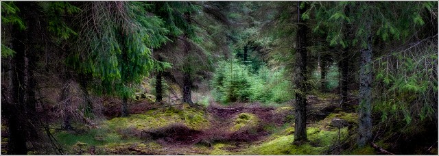  XT35922-Edit-005-20210916