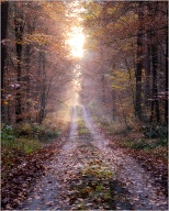 The days get shorter and shorter.