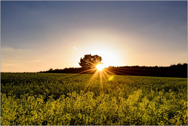 810 2796-013-20180501