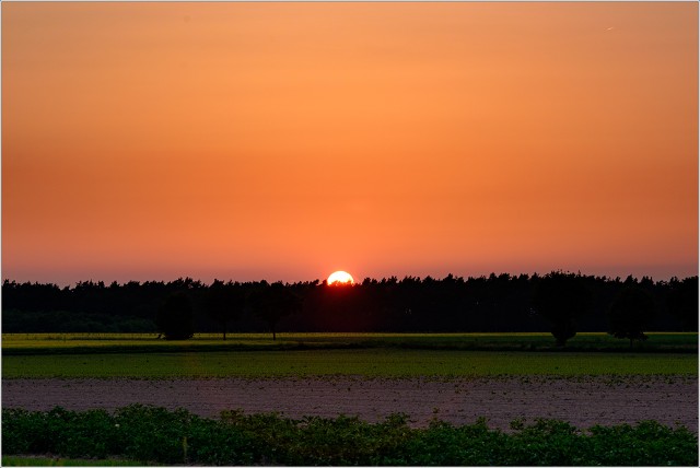 810 3068-017-20180519