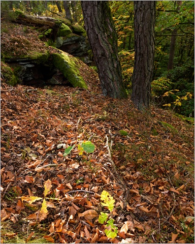 810 4864-026-20181020