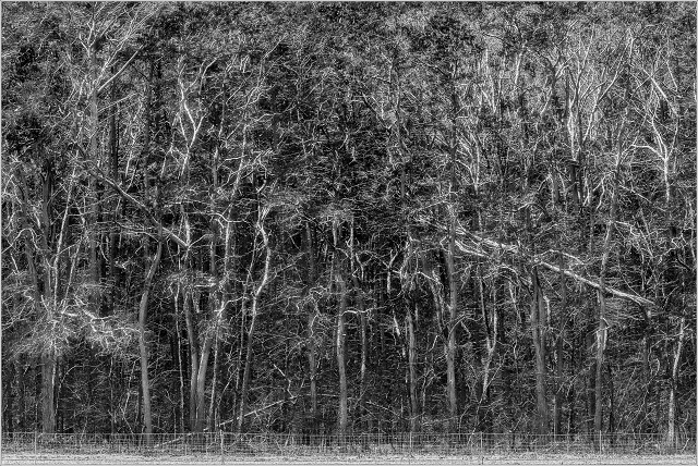 810 5644-Edit-06-032-20181216