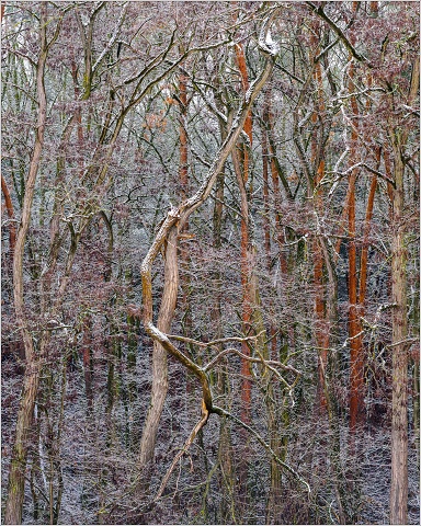 810 5967-Edit-24-036-20190111