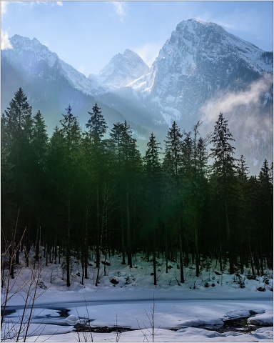 810 6319-039-20190223