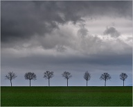 Just a line of trees at the side of the road.