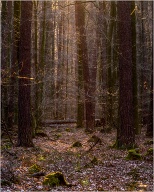 I am quite happy with this, but it looked so much better in real life.
.
.