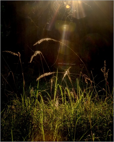 810 6872-Edit-130-043-20190419