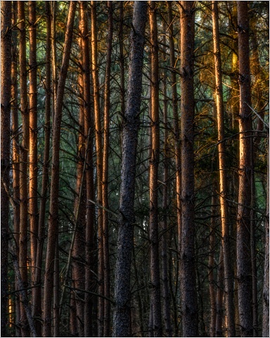 810 6878-Edit-129-044-20190419