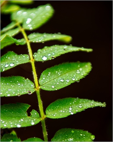 810 6929-Edit-132-045-20190426