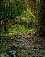 Been walking past this place, I guess 20 times, and for the first time the light was almost perfect. I guess I will have to visit again.
.
.